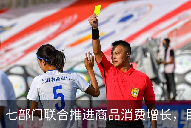 七部门联合推进商品消费增长，目标2030年达60万亿元