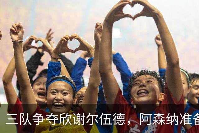 三队争夺欣谢尔伍德，阿森纳准备出价