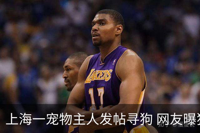 上海一宠物主人发帖寻狗 网友曝狗狗在拉面店享受美食