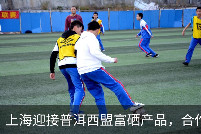 上海迎接普洱西盟富硒产品，合作迈入新阶段