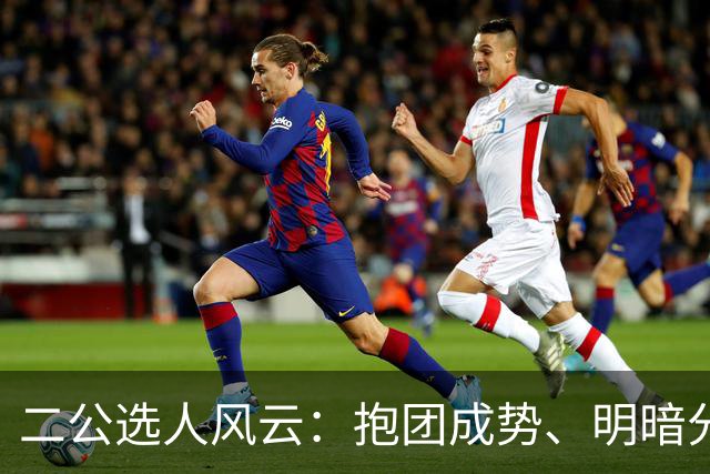 二公选人风云：抱团成势、明暗分明