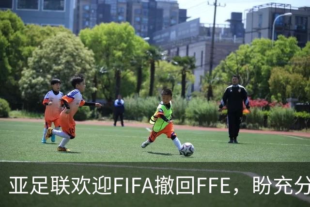 亚足联欢迎FIFA撤回FFE，盼充分协商
