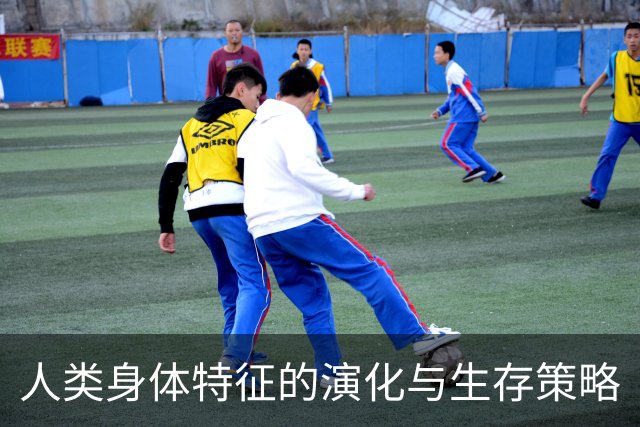 人类身体特征的演化与生存策略