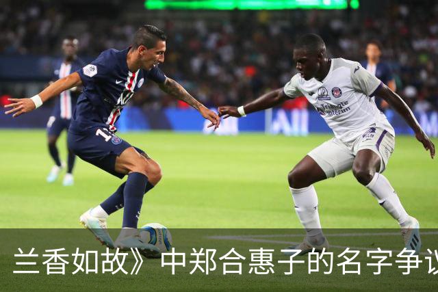 兰香如故》中郑合惠子的名字争议与角色发展