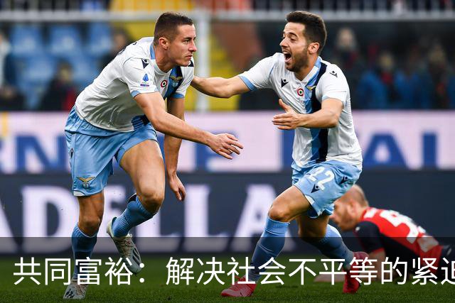 共同富裕：解决社会不平等的紧迫任务