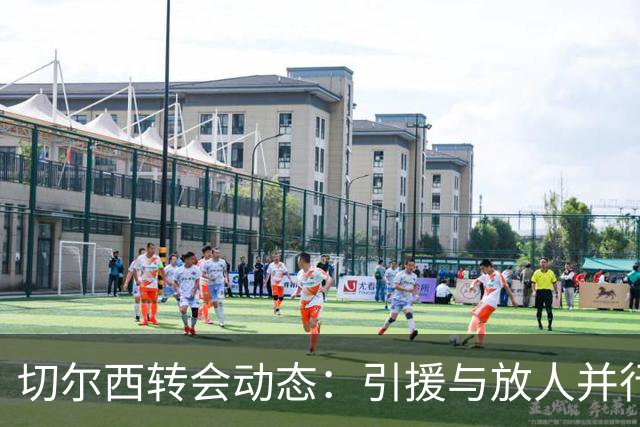 切尔西转会动态：引援与放人并行