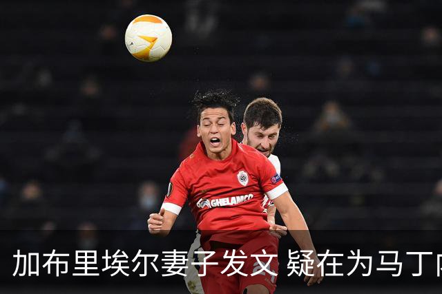 加布里埃尔妻子发文 疑在为马丁内利告别