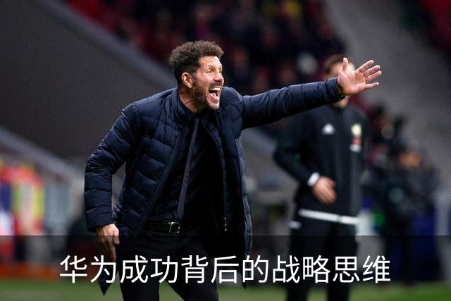华为成功背后的战略思维