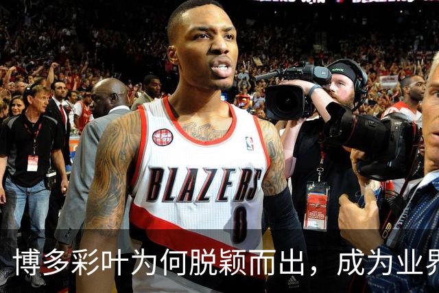 博多彩叶为何脱颖而出，成为业界翘楚？