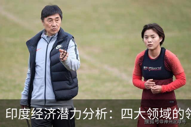 印度经济潜力分析：四大领域的领先优势