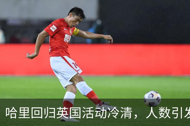 哈里回归英国活动冷清，人数引发广泛关注