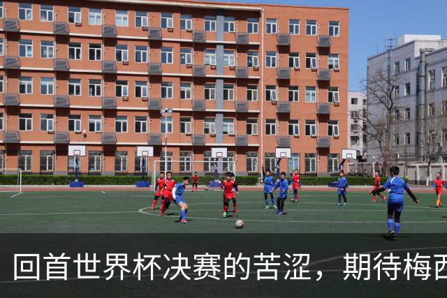 回首世界杯决赛的苦涩，期待梅西的告别战