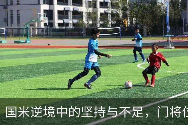 国米逆境中的坚持与不足，门将位置成关键