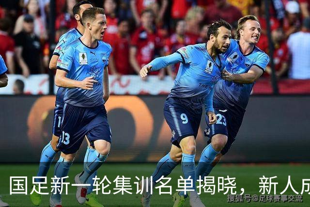 国足新一轮集训名单揭晓，新人成员引关注