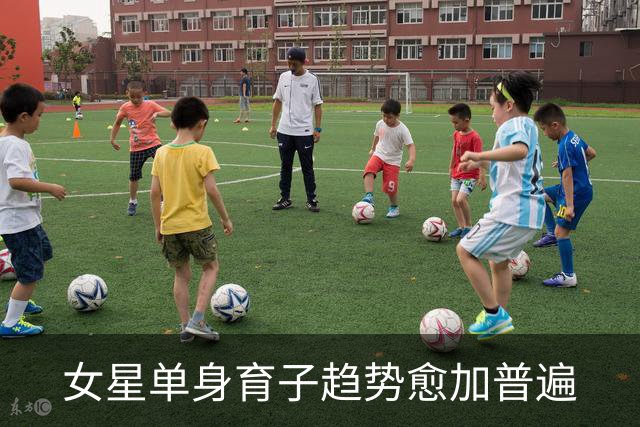 女星单身育子趋势愈加普遍