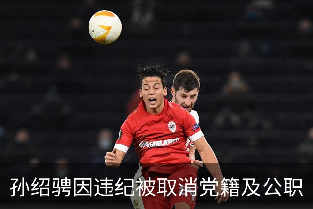 孙绍骋因违纪被取消党籍及公职