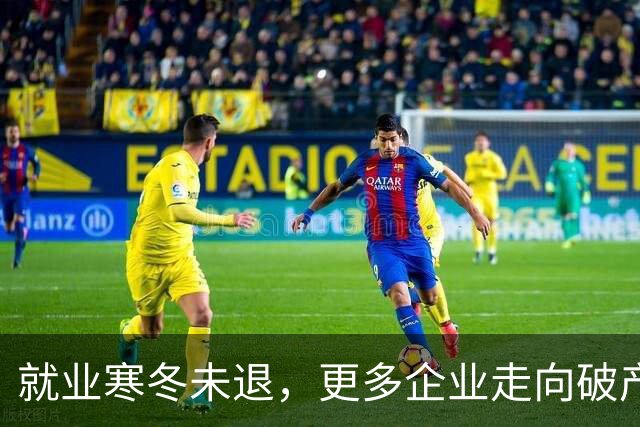 就业寒冬未退，更多企业走向破产