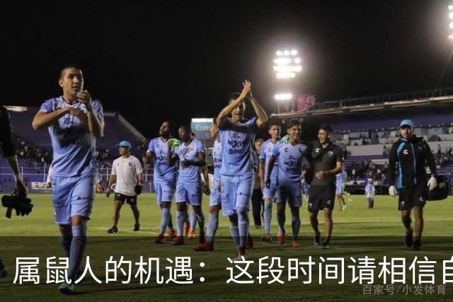 属鼠人的机遇：这段时间请相信自己