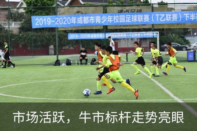 市场活跃，牛市标杆走势亮眼