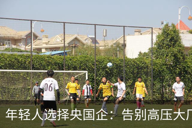 年轻人选择央国企：告别高压大厂追求稳定生活