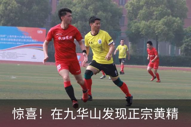 惊喜！在九华山发现正宗黄精