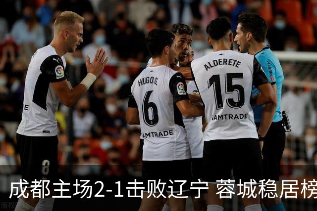 成都主场2-1击败辽宁 蓉城稳居榜首