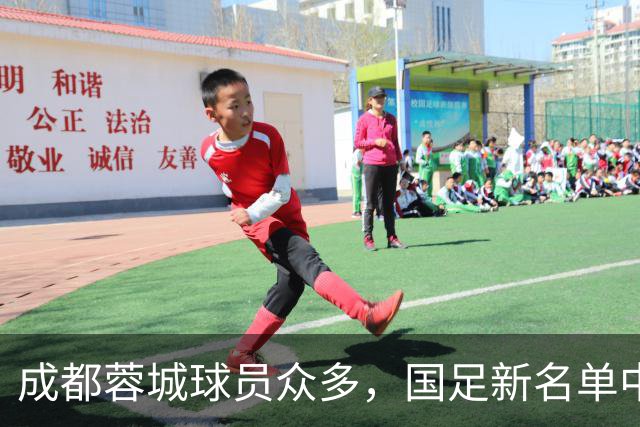 成都蓉城球员众多，国足新名单中7人入围