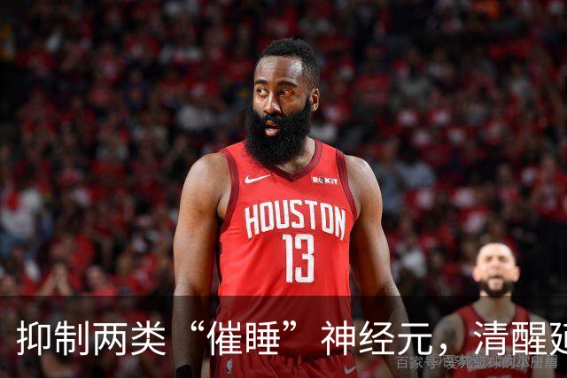 抑制两类“催睡”神经元，清醒延长6.5小时