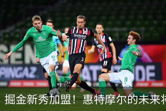 掘金新秀加盟！惠特摩尔的未来将何去何从？