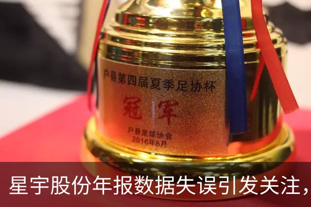 星宇股份年报数据失误引发关注，外包费用异常高