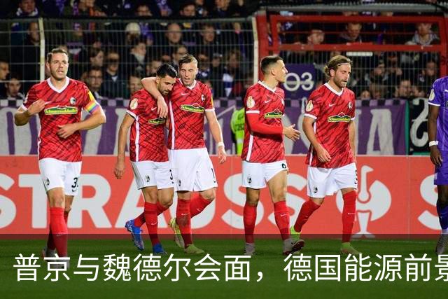 普京与魏德尔会面，德国能源前景再起疑云？
