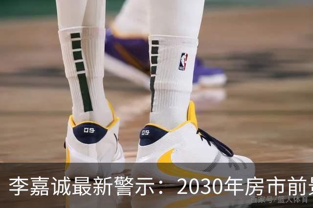 李嘉诚最新警示：2030年房市前景如何？