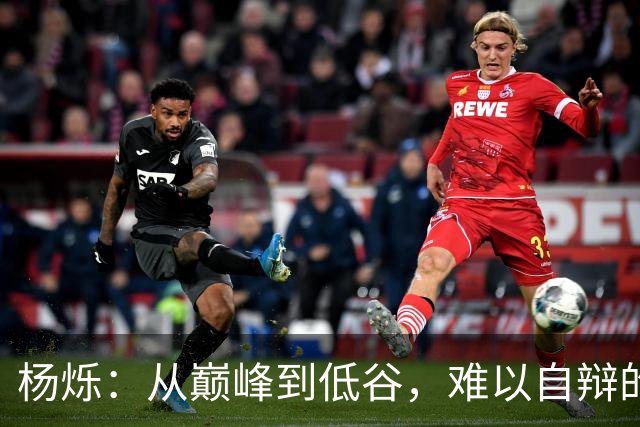 杨烁：从巅峰到低谷，难以自辩的代价