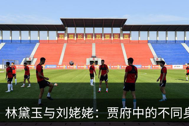林黛玉与刘姥姥：贾府中的不同身份