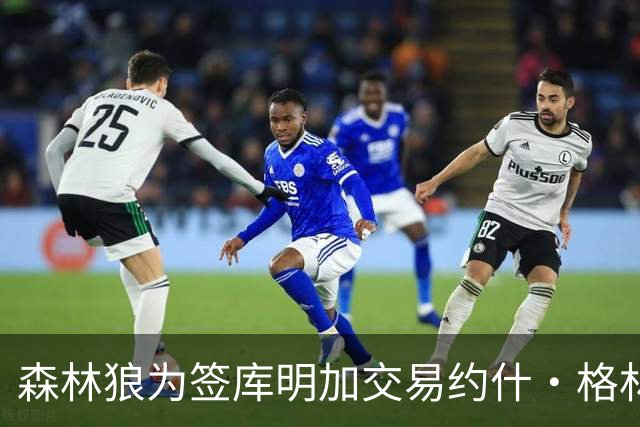 森林狼为签库明加交易约什·格林