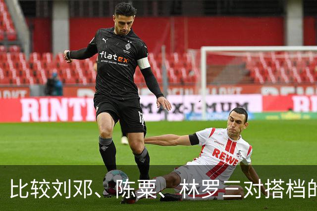 比较刘邓、陈粟、林罗三对搭档的强弱