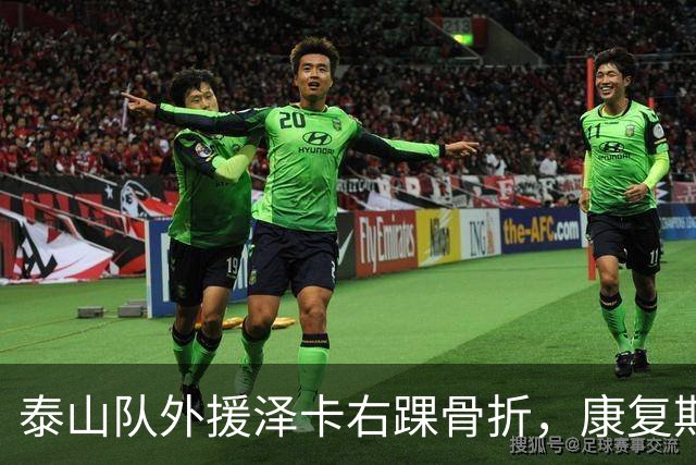 泰山队外援泽卡右踝骨折，康复期预计6至8周