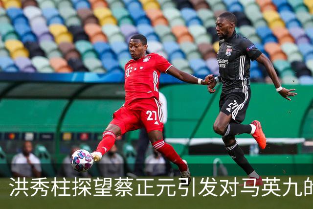 洪秀柱探望蔡正元引发对马英九的关注