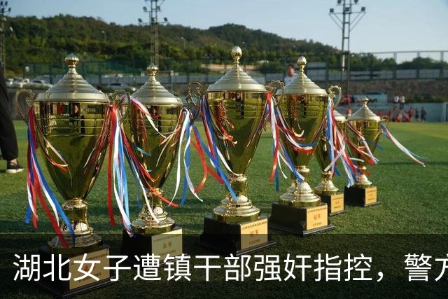 湖北女子遭镇干部强奸指控，警方立案反复受挫