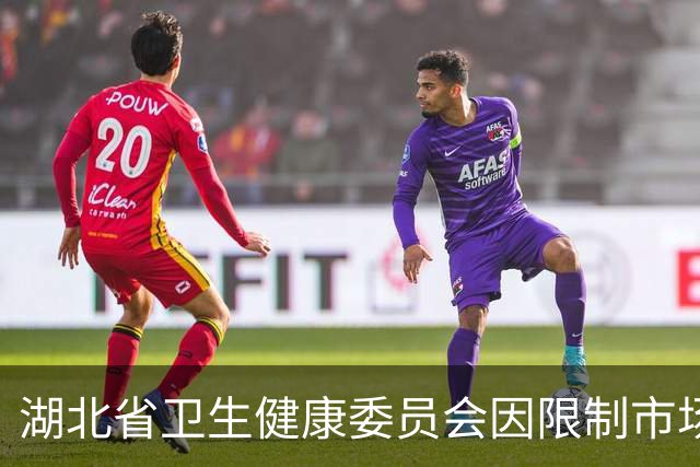 湖北省卫生健康委员会因限制市场竞争被查处