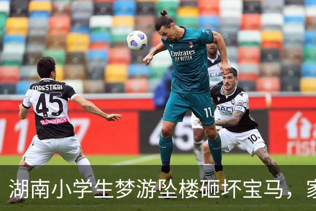 湖南小学生梦游坠楼砸坏宝马，家长提出新要求引争议