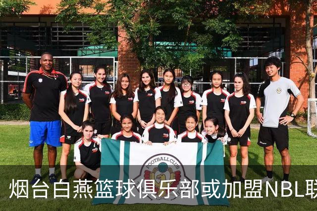 烟台白燕篮球俱乐部或加盟NBL联赛