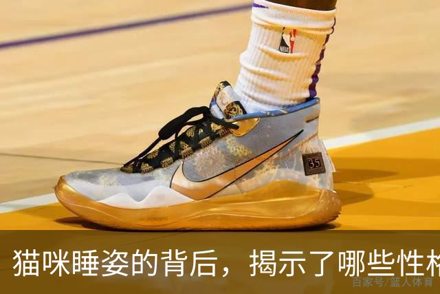 猫咪睡姿的背后，揭示了哪些性格与心理？