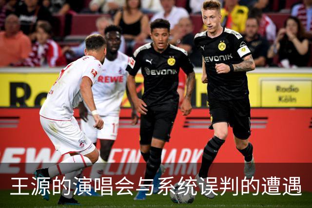 王源的演唱会与系统误判的遭遇
