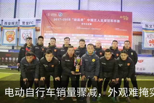 电动自行车销量骤减，外观难掩实用性缺失