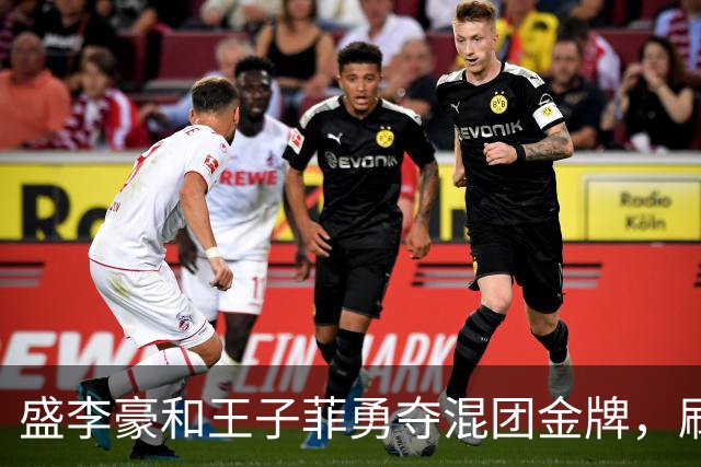 盛李豪和王子菲勇夺混团金牌，刷新世界纪录