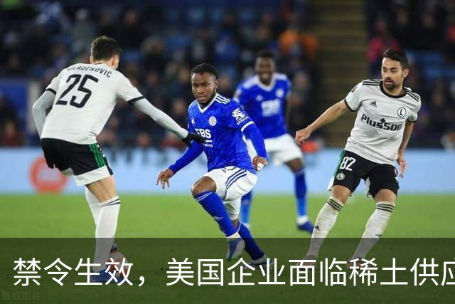 禁令生效，美国企业面临稀土供应危机