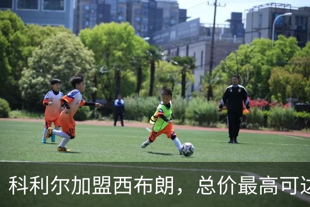 科利尔加盟西布朗，总价最高可达800万英镑