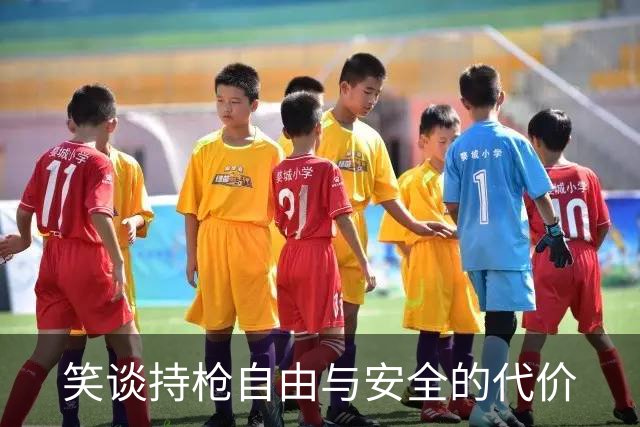 笑谈持枪自由与安全的代价