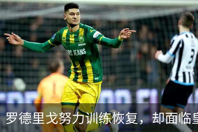 罗德里戈努力训练恢复，却面临皇马竞争激烈的困境